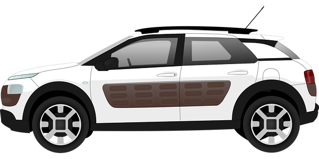 Auto leasen citroën c4 cactus